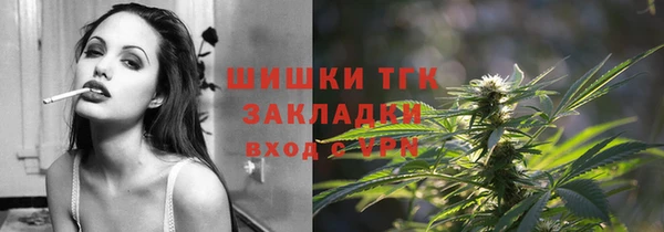 apvp Алзамай