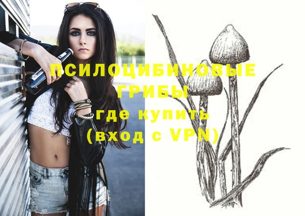 apvp Алзамай