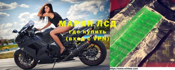 apvp Алзамай