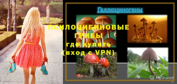 ALPHA-PVP Алексеевка