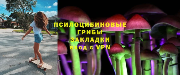 гашик Нея