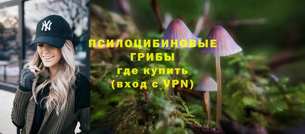 а пвп мука Анжеро-Судженск