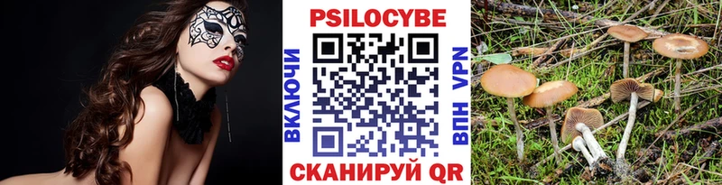 Галлюциногенные грибы Psilocybine cubensis  Находка 